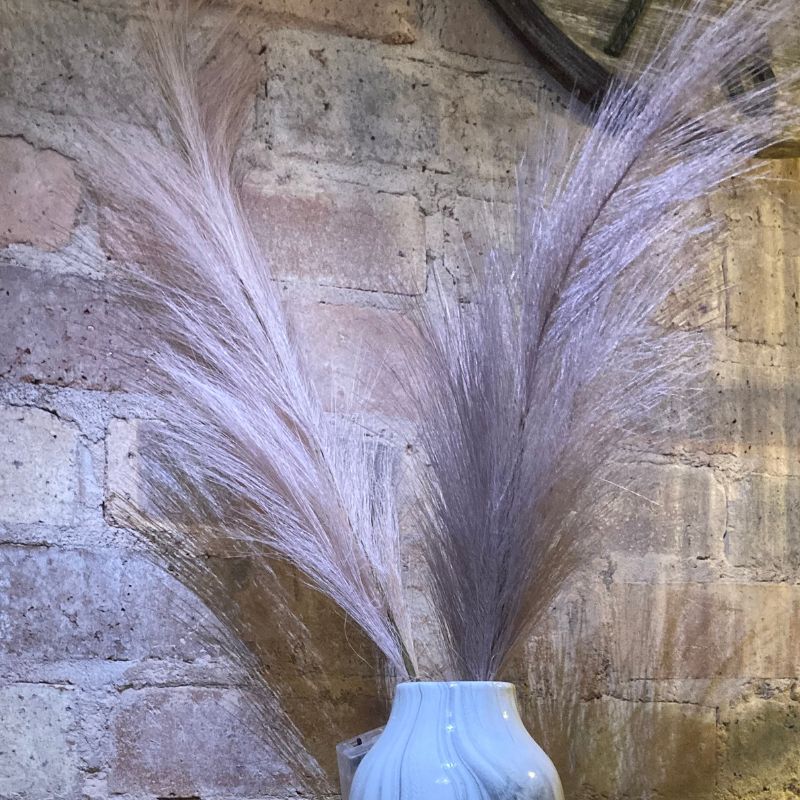 Pair of Fluffy Silk Pampas Plumes with LED's