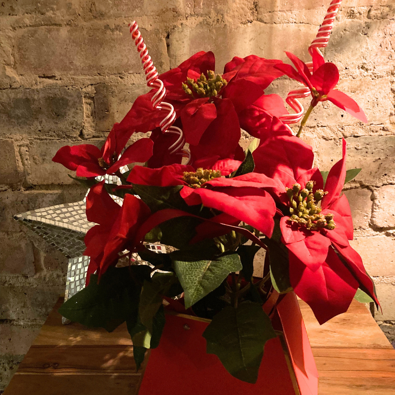 Silk Poinsettia in Gift Handbag