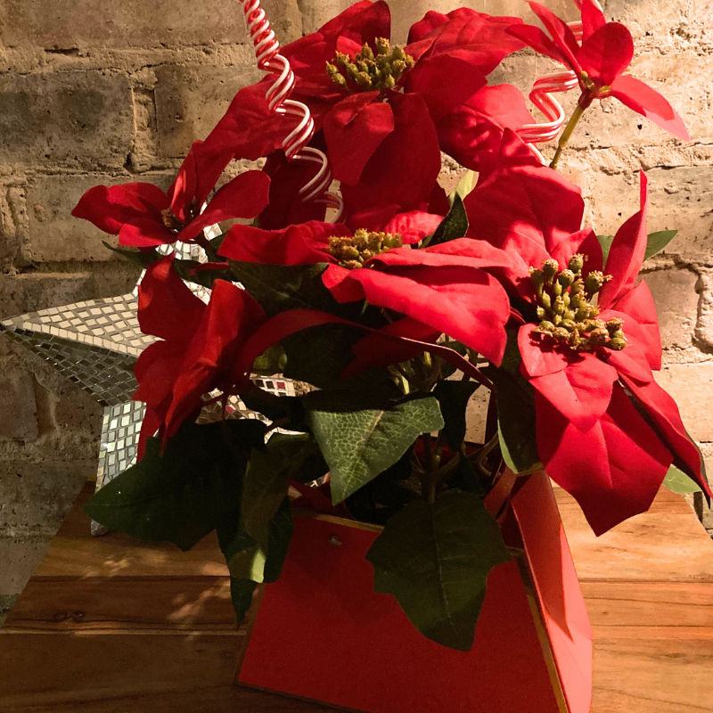 Silk Poinsettia in Gift Handbag