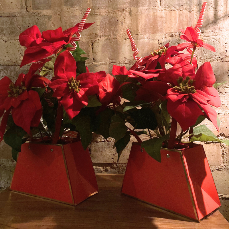 Silk Poinsettia in Gift Handbag