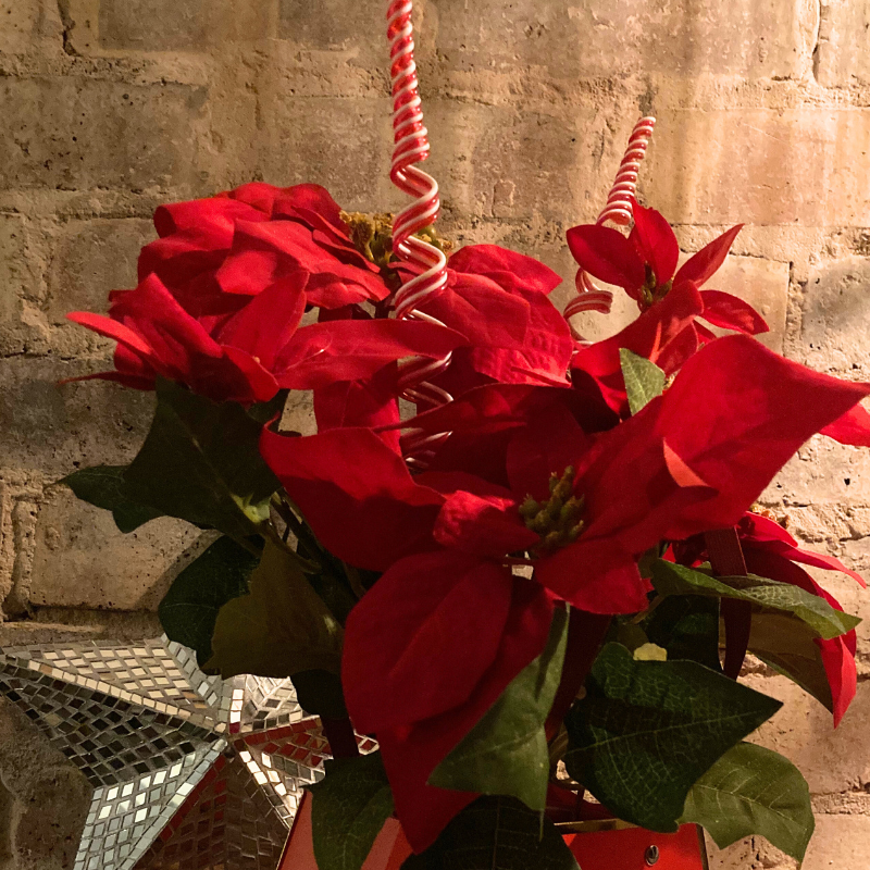 Silk Poinsettia in Gift Handbag