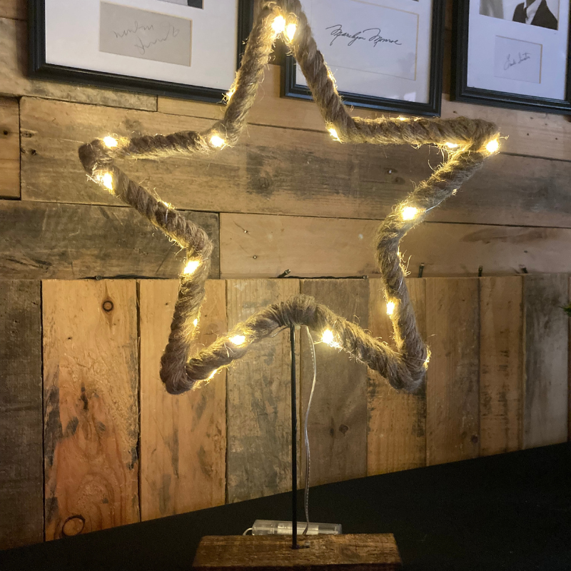 Standing Star Rope Light